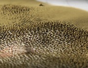 IMG_0423s