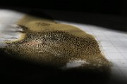IMG_0424