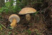 IMG_0036