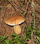 IMG_0928