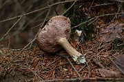 IMG_1792