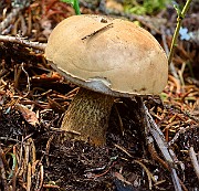IMG_2077