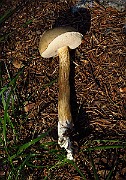 IMG_2200