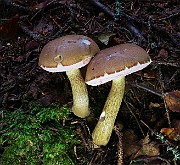 IMG_6100
