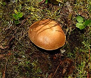IMG_9651