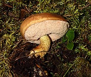 IMG_9653