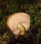 IMG_9654