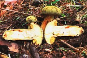 IMG_0841