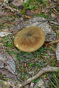 IMG_2024