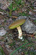 IMG_2026
