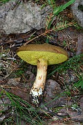 IMG_2027
