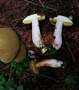 IMG_2339