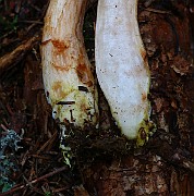 IMG_2341