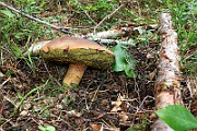 IMG_0856