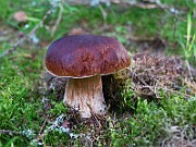 IMG_2494