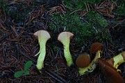 IMG_0350