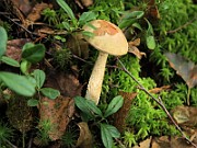 IMG_7748