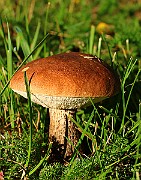 IMG_1570