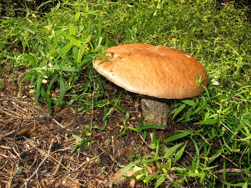 IMG_3409.jpg