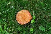 IMG_0658