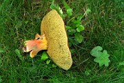 IMG_0660
