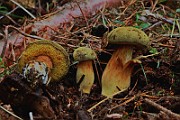 IMG_0840