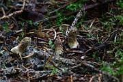 IMG_9346