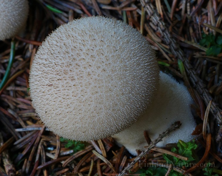 IMG_6221.JPG
