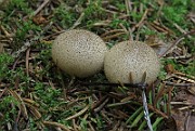 IMG_9944