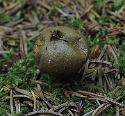 IMG_9946