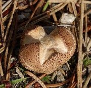 IMG_1079