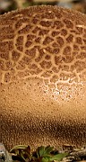 IMG_1080