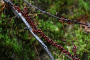 IMG_9187