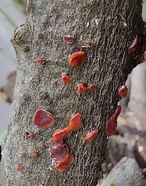 x20200730_153144.jpg
