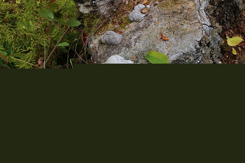 IMG_6136.JPG