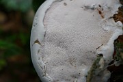 IMG_2209