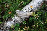 IMG_2476