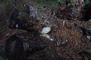 IMG_6836