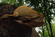 IMG_2725