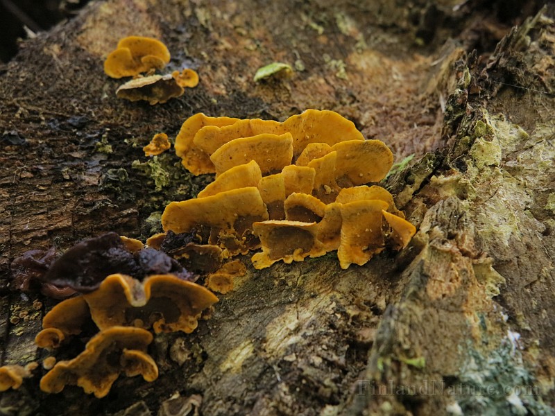 IMG_7759.JPG