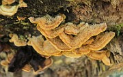 IMG_7758