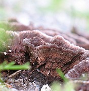 IMG_3675