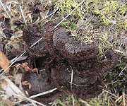 IMG_7727