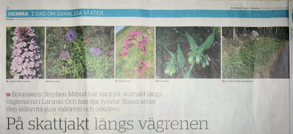 Newspaper cutting (Osterbottens Tidning 1-Aug-2010)